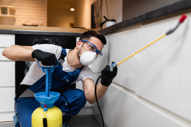 Best Cockroach Control Services  in Negaunee, MI