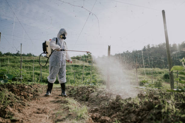 Best Commercial Pest Control Services  in Negaunee, MI
