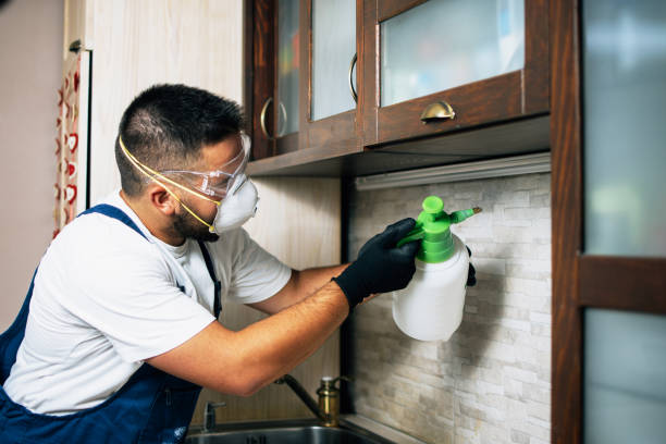 Best Local Pest Control Services  in Negaunee, MI