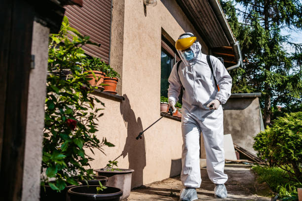Best Termite Control Services  in Negaunee, MI