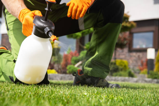 Best Ant Control Services  in Negaunee, MI