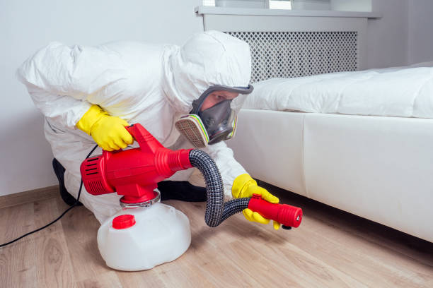 Best Pest Control for Homes  in Negaunee, MI