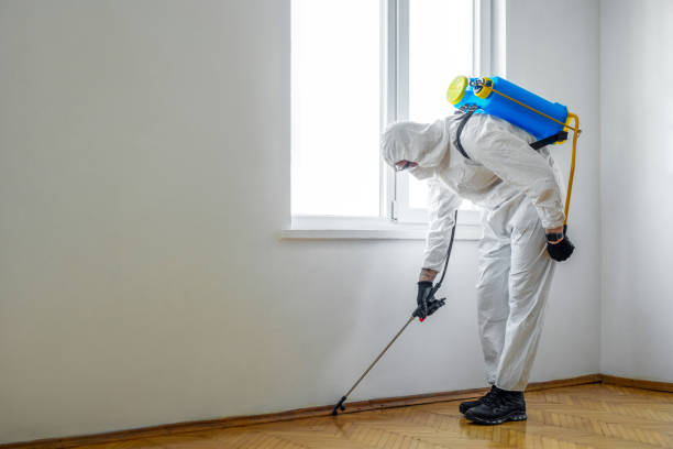Best Best Pest Control Companies  in Negaunee, MI