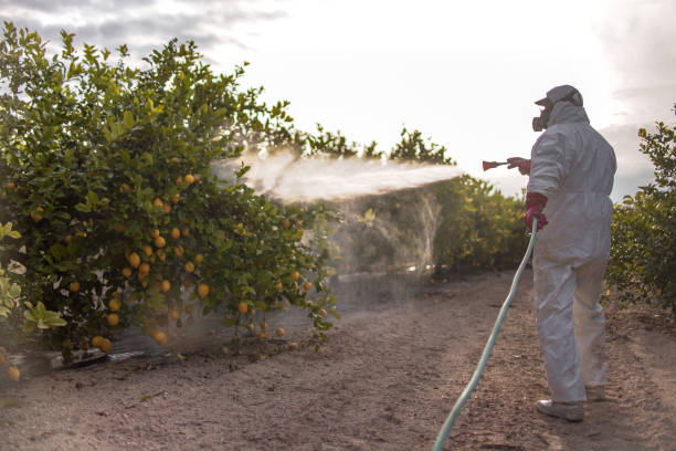  Negaunee, MI Pest Control Pros