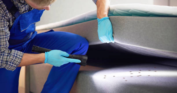 Best Affordable Pest Control Services  in Negaunee, MI