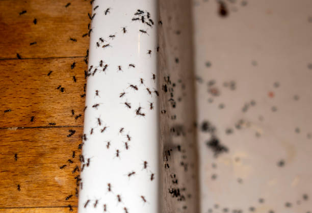 Pest Control Cost in Negaunee, MI