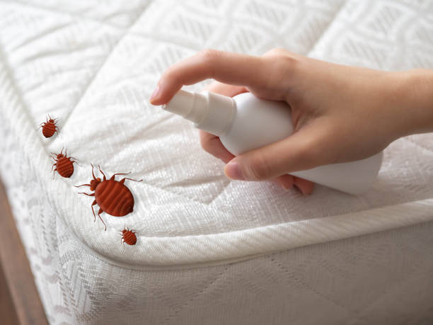 Best Flea Control Services  in Negaunee, MI